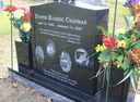 Chapman 03
