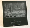 yellowstone2