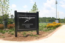 Upward2 1